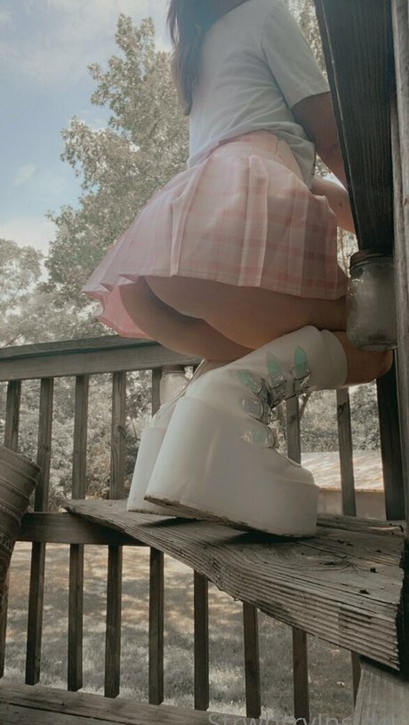 viinusflytrap perfekte erotische archiv