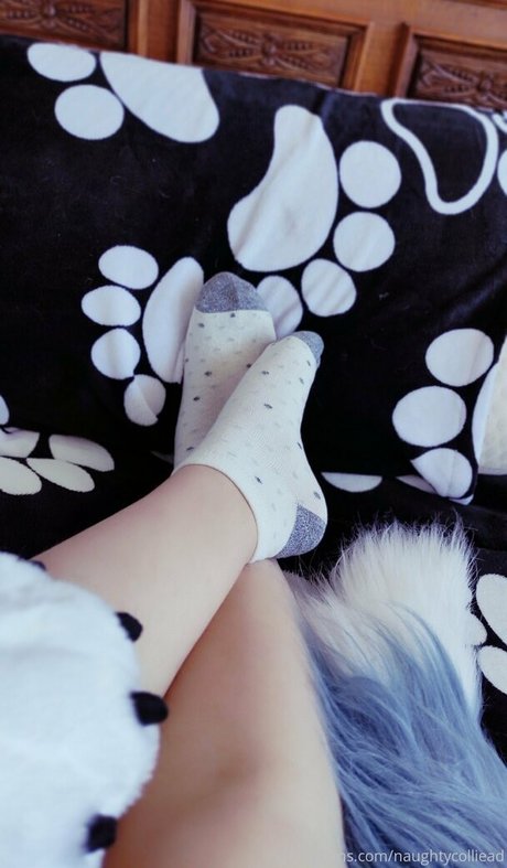 blowjob-party nur fans heiße sex galerie