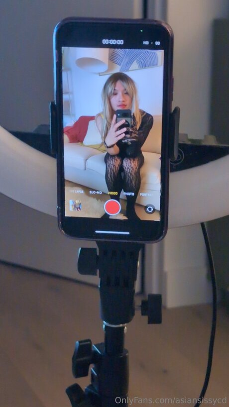 asiansissycd kunst schöne galerie