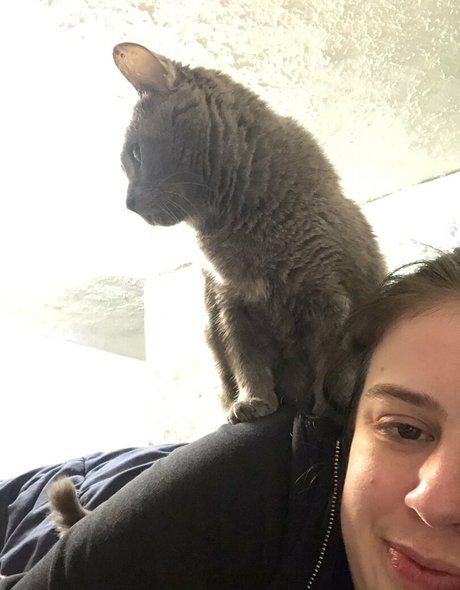 modelle nur fans xxx pornografische galerien