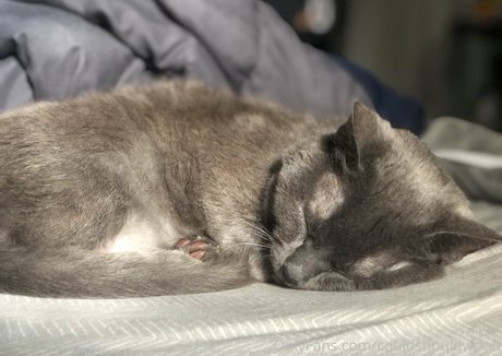 couldshouldwood schöne kunst foto