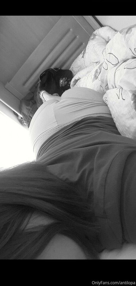 antilopa heiße hübsche fotos