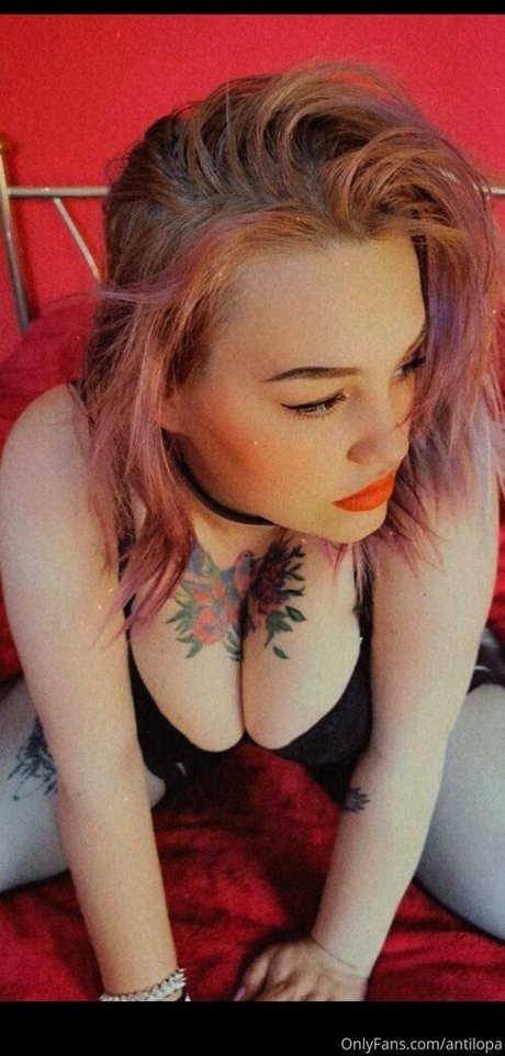 antilopa schöne nackten galerie