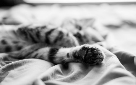 sexy frau nur fans xxx nackten foto