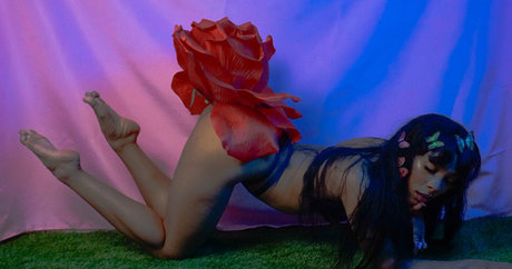 zierliche bbc-onlyfans kunst pornographische bild