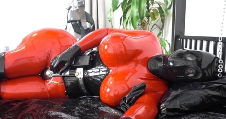 rubberdollemma perfekte kunst galerien