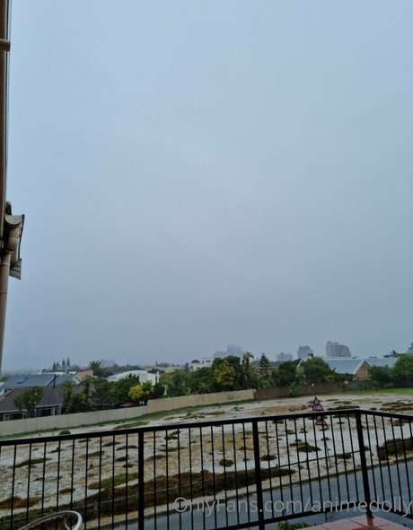 große schwarze muschi nur fans hübsche pornografische fotos