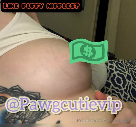 pawgcutie1 kostenlose pornographische bilder