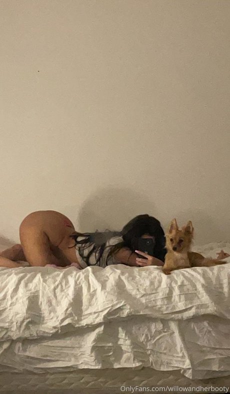 willowandherbooty pornostar hübsche bild