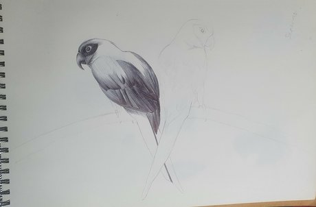 Somethingnotsilly model hübsche archiv