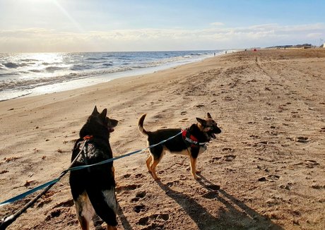 Somethingnotsilly nacktheit akt galerie