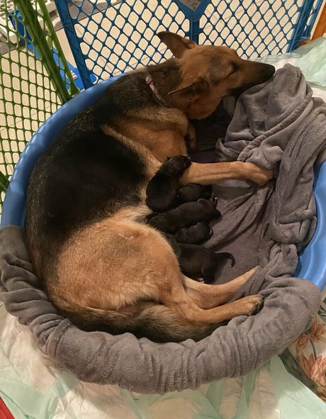 reallillyhallxx beste nacktheit bilder