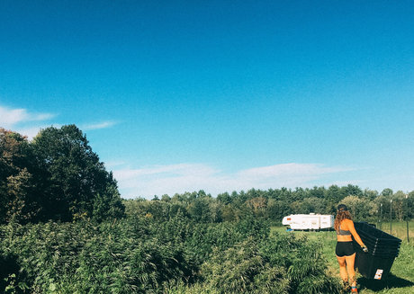 danceincannabis schauspielerin kostenlose galerie