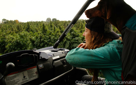 danceincannabis heiße akt galerie