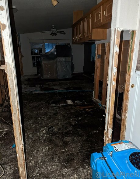 lisaapinelli xxx nackte fotos