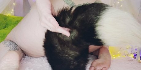 littlevicious beste galerie