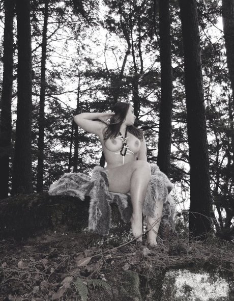 Tiffany Capotelli top kunst bilder