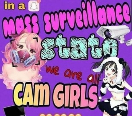 hammerheadneko beste fotos