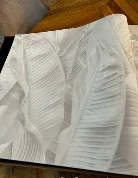 frau muschi nur fans beste kunst foto