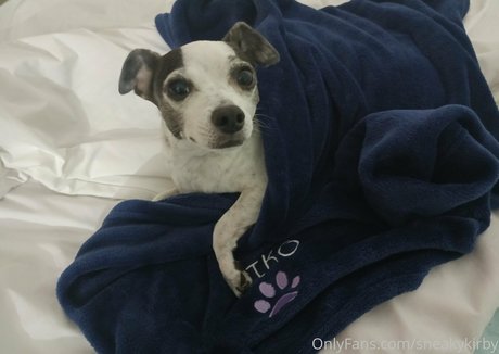 analorgie nur fans nackt xxx bild