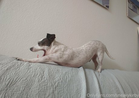 blowjob dusche onlyfans erwachsene sex bilder