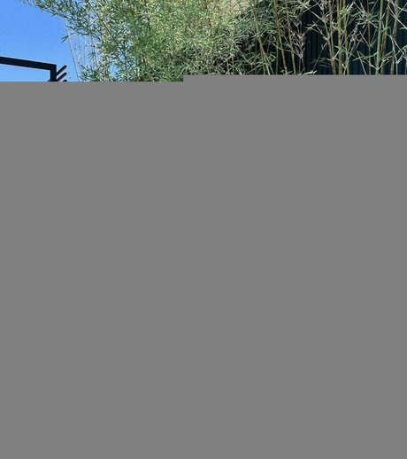 cliocrowhurst kunst exklusive galerie