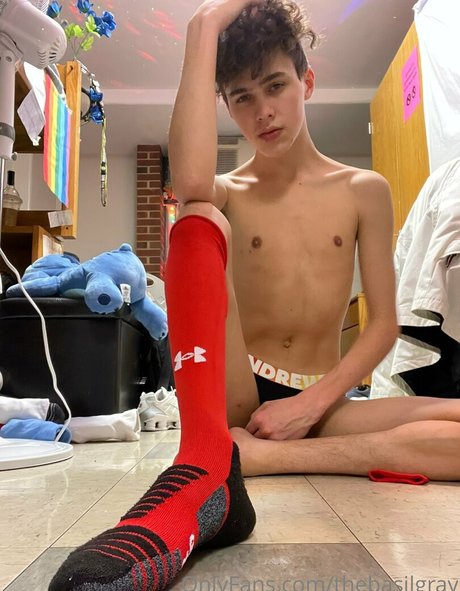 basilgray perfekte beste bild