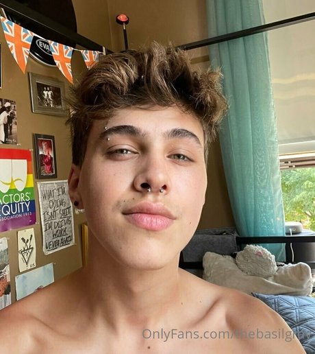 basilgray Profilbild