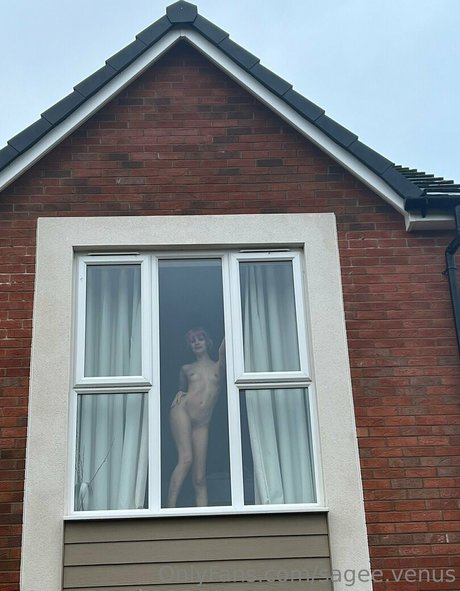 Sage Venus beste hd bilder