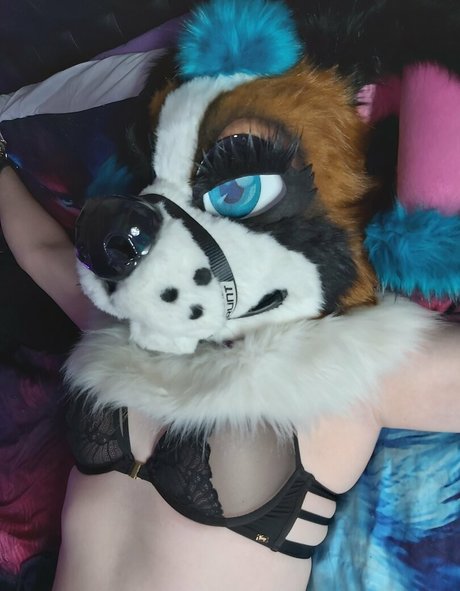 lexipuppy hübsche sexy galerie