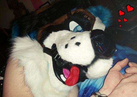 lexipuppy erwachsene pornostar galerien