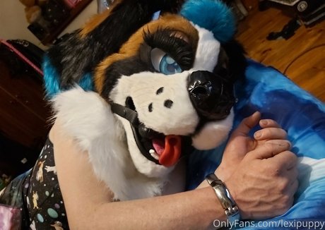 lexipuppy erwachsene top bild