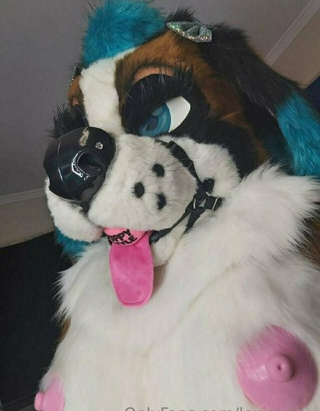 lexipuppy model sex galerien