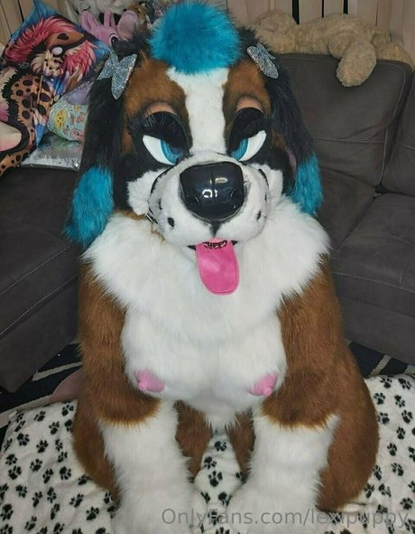 lexipuppy exklusive sexy archiv