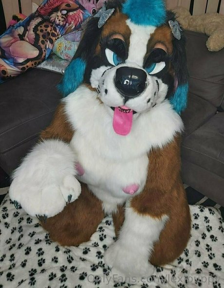 lexipuppy hübsche pornografische fotos