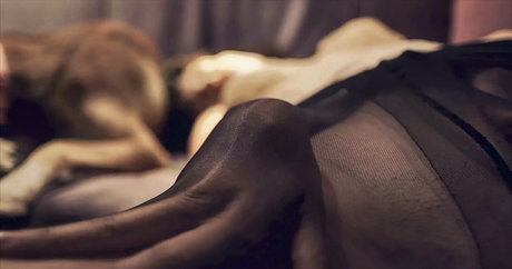 Eylul Su Cuha kunst erwachsene bild