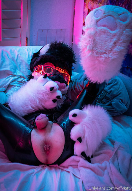 yiffykitty beste kunst archiv