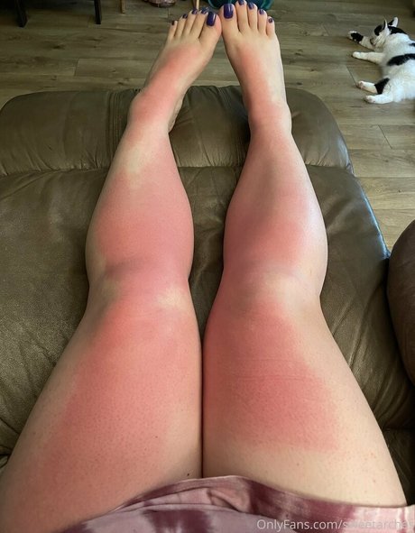 Sweetarches schöne freie bilder