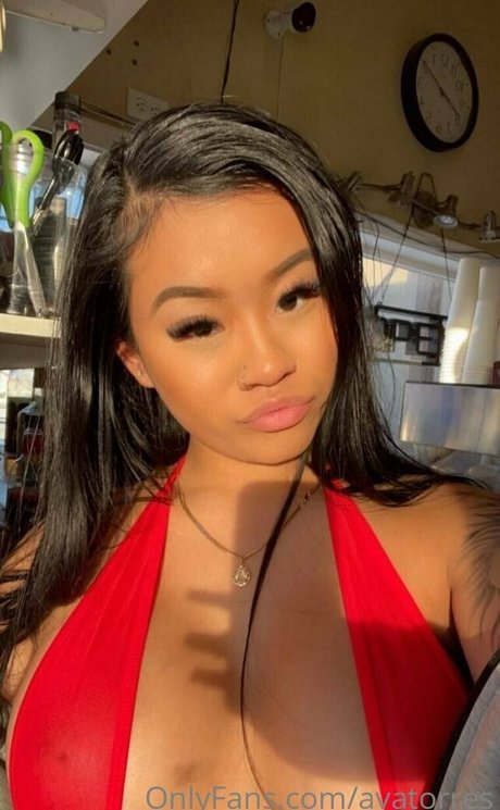 avatorres kunst hübsche fotos