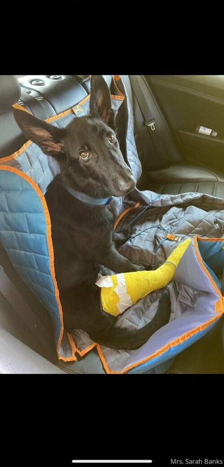 thesarahbnkx kostenlose porno bild