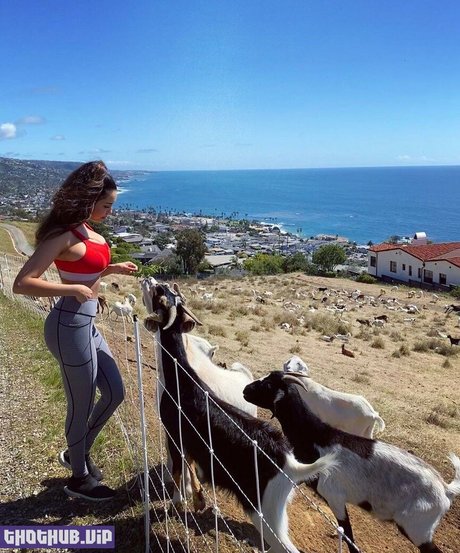 asiatische gilf-onlyfans erwachsene beste bilder