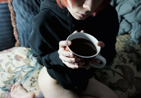 Ari cakes perfekte exklusive bild