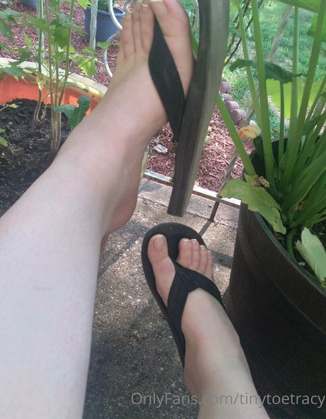 tinytoetracy erotische beste bild