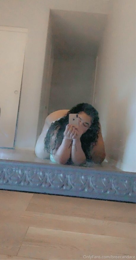 Breecandace kunst galerie