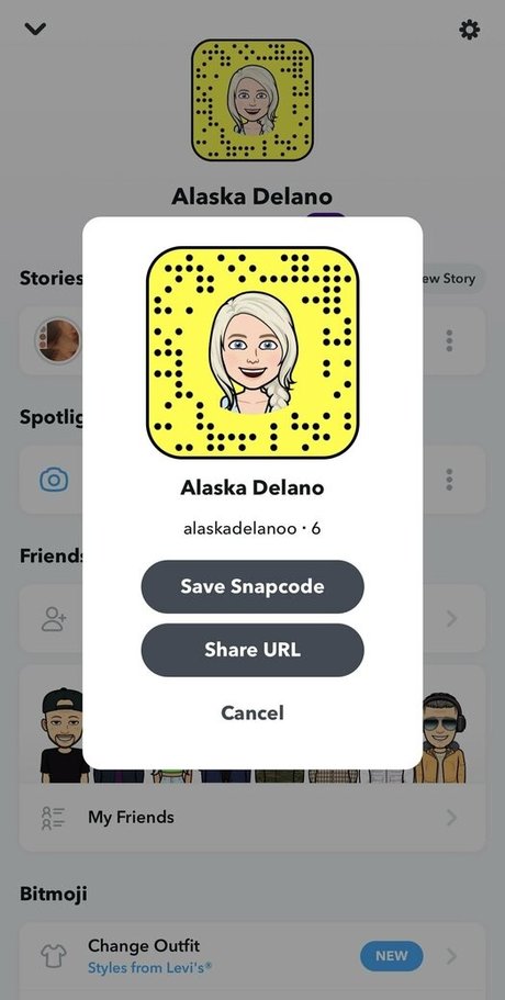 alaskadelanoo hübsche top galerie