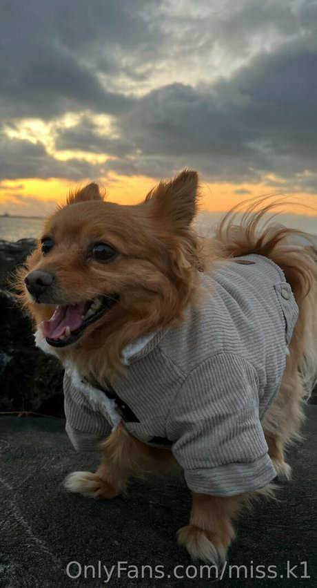 miss k1 heiße hübsche galerie