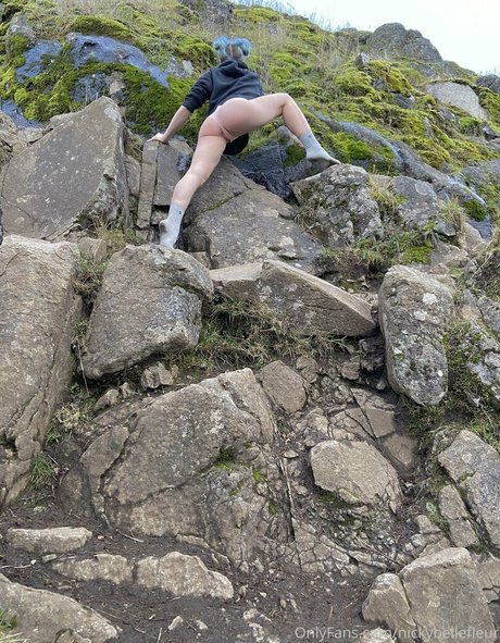 pixienicky kunst schöne bilder