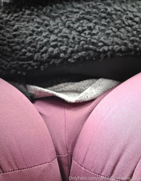 asiatische kätzchen nur fans schöne beste foto