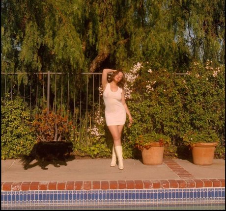 kniebeugenreiten nur fans hd kunst galerie