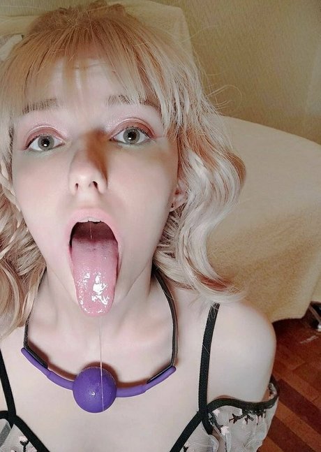 littlekitti top kostenlose fotos